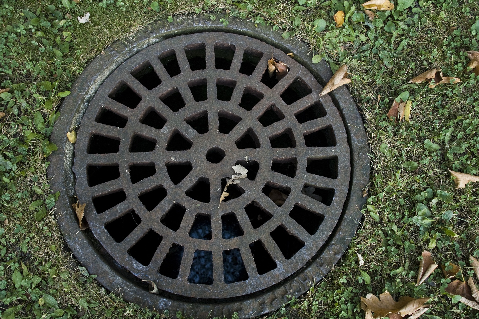 Drain & Sewer